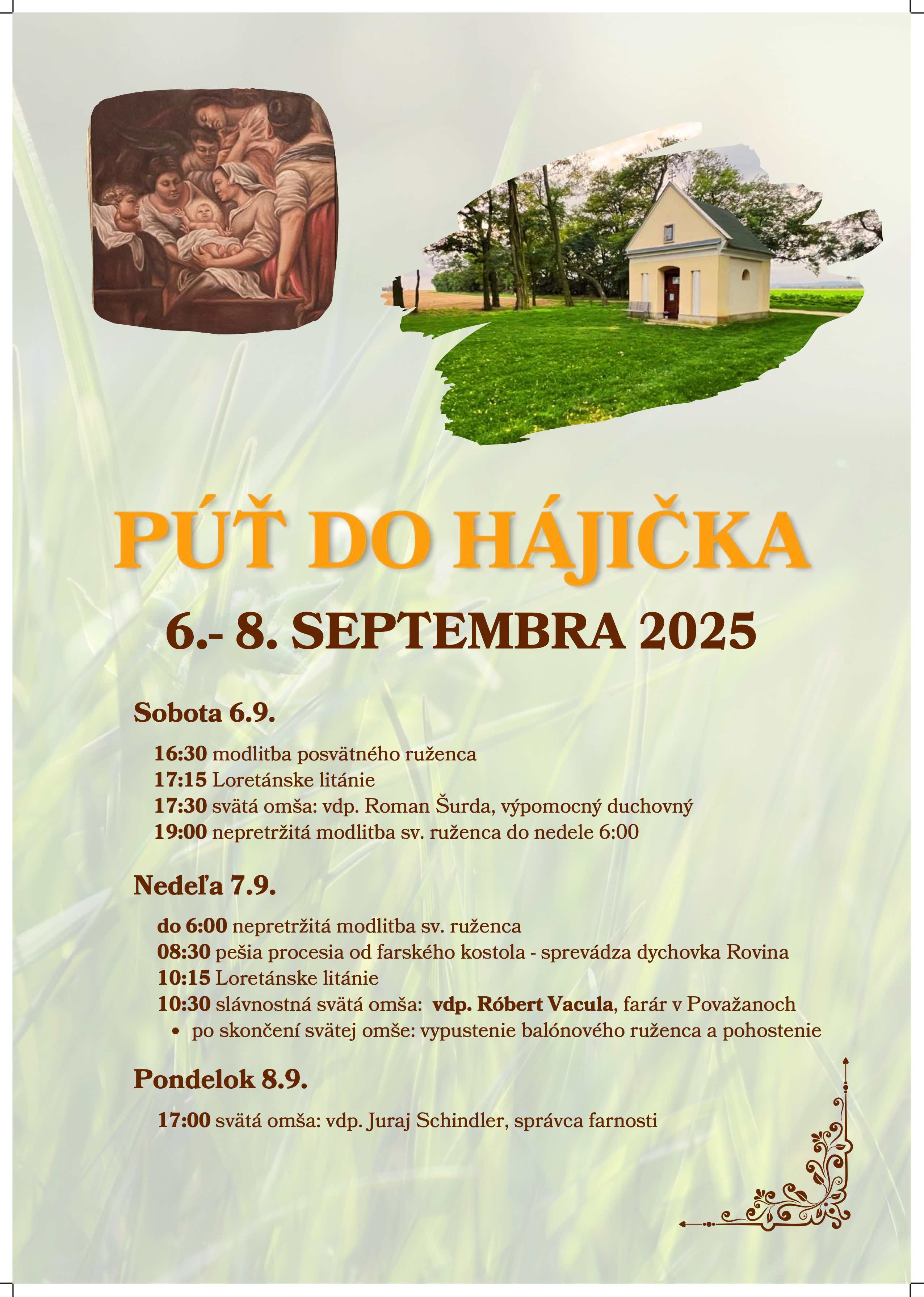 Hajicek 2025 small